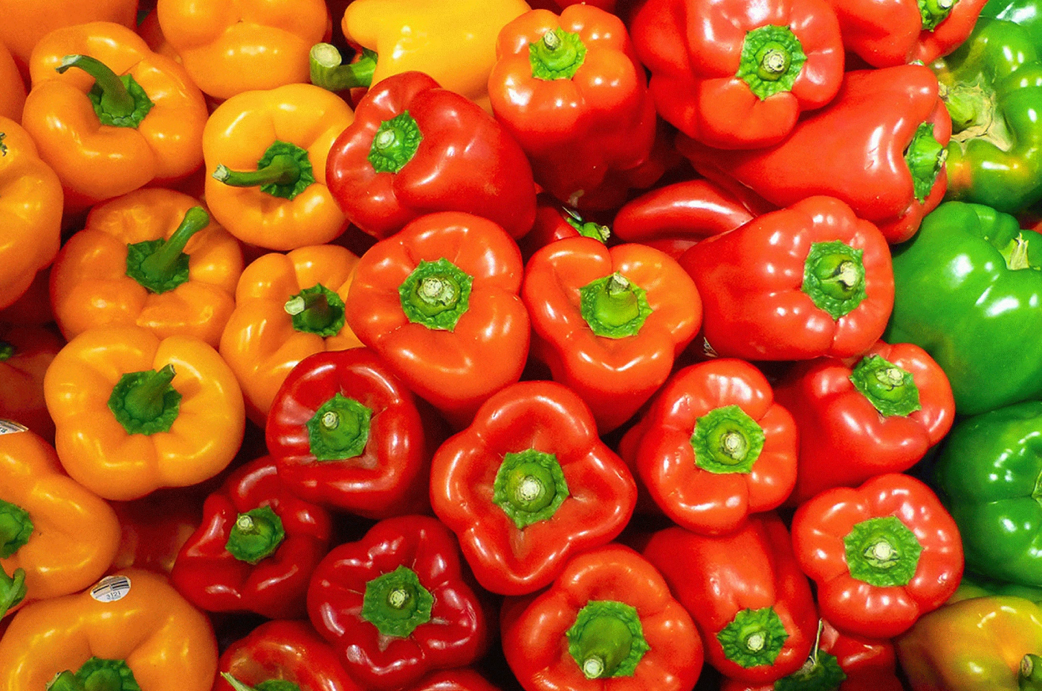 Procobi, hazlo orgánico, La mejor protección de cultivos