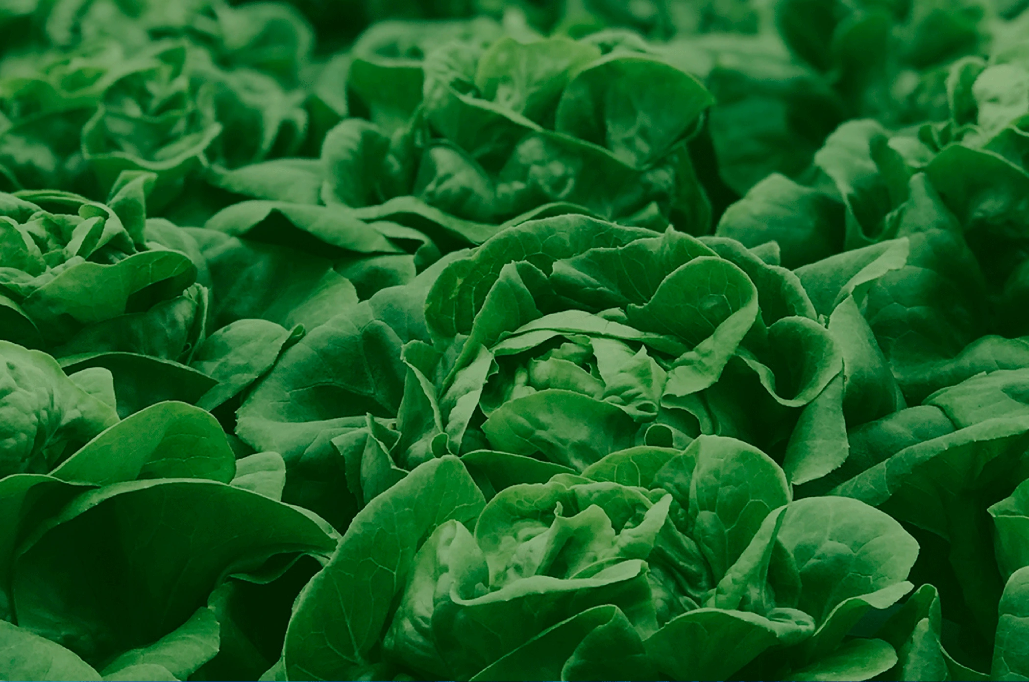 Procobi, hazlo orgánico, ¡Hazlo orgánico!