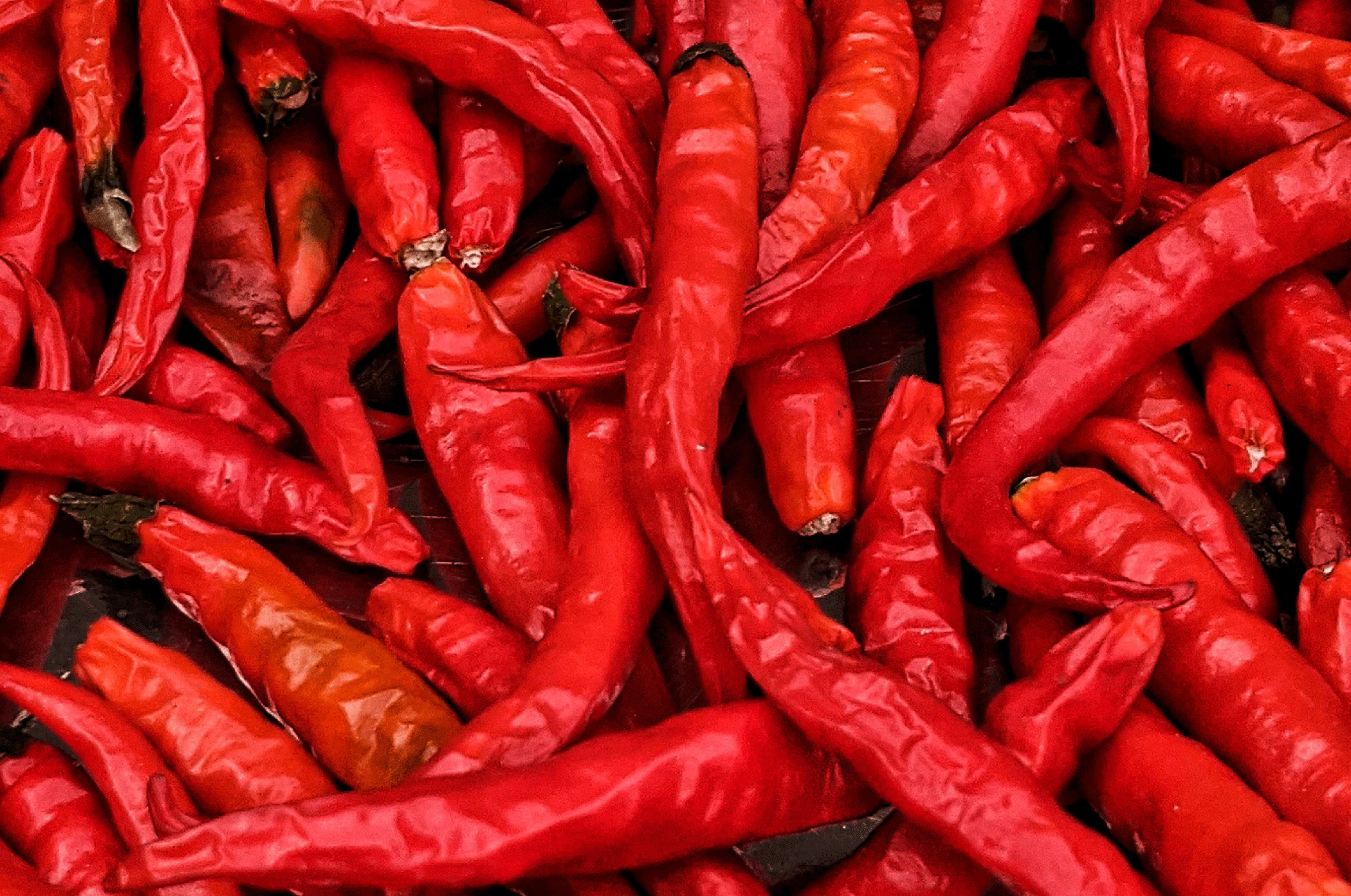 Procobi, hazlo orgánico, Insumos orgánicos de calidad